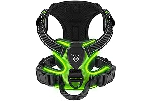 Ultimate Light Up Dog Harness: Enhanced Visibility for Nighttime Adventures