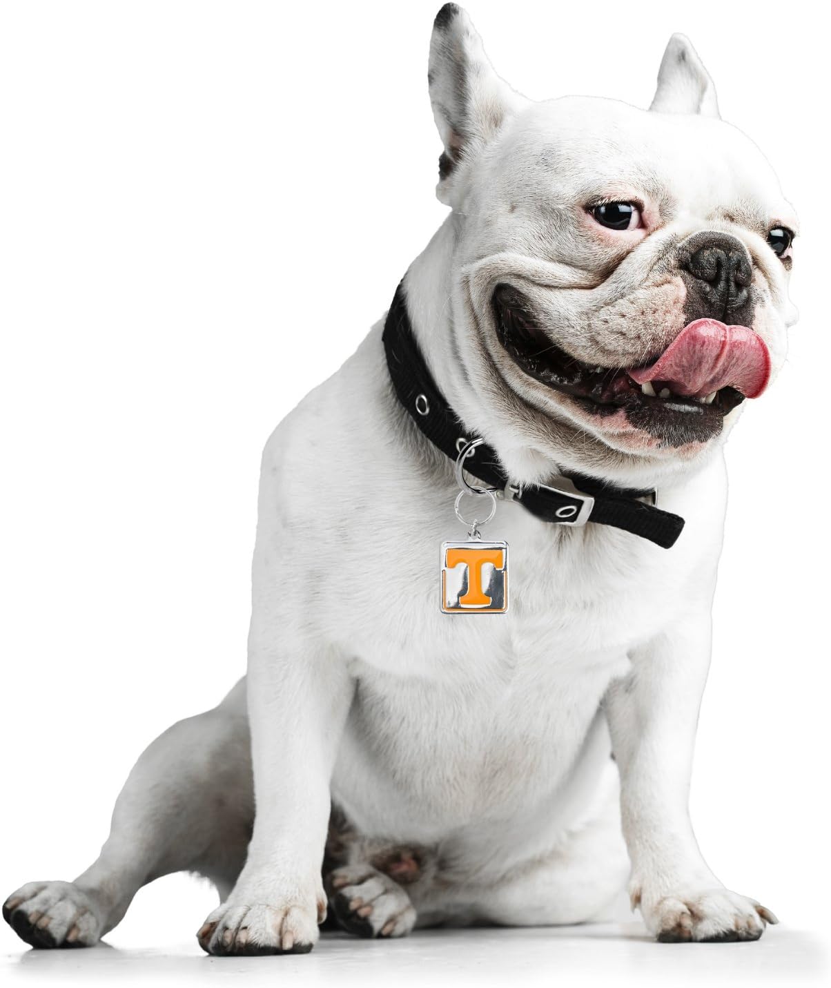 NCAA Pet Collar Charm