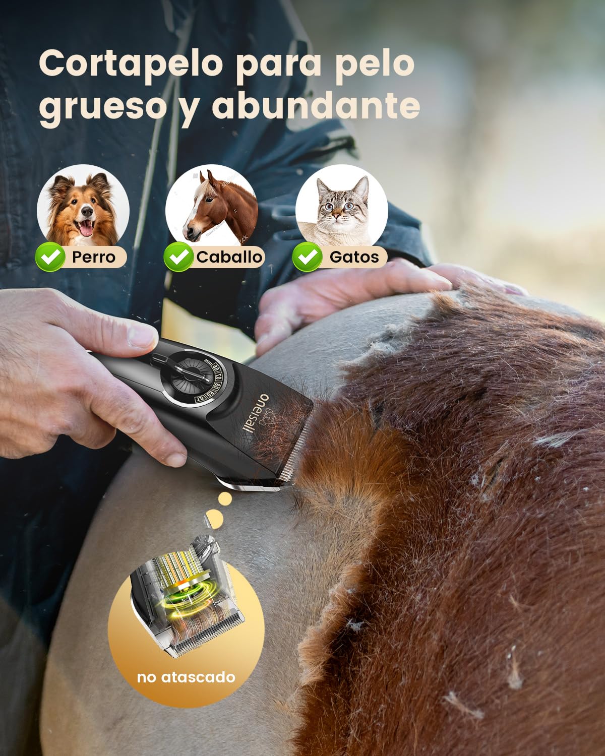 oneisall Maquina Cortar pelo Perros, Caniche Cortapelos Perros pelo Largo, Ultra Silencios Maquina pelar Perros con potente motor, Corta pelo Mascota con cuchillas removibles