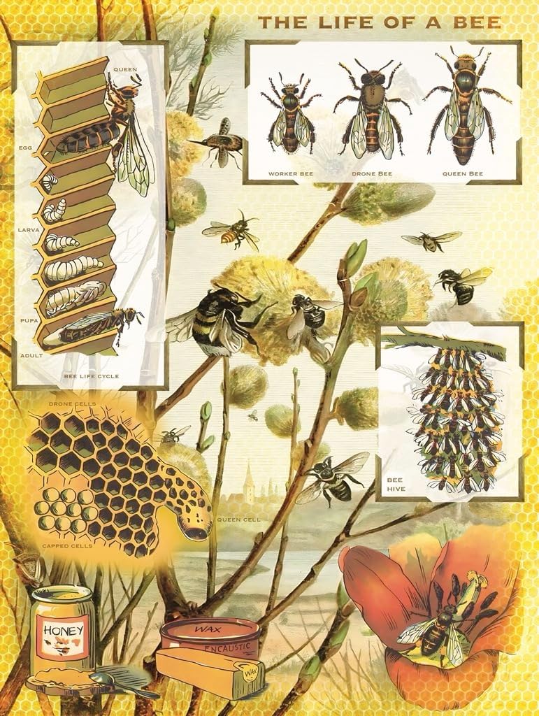 New York Puzzle Company - Vintage Images Bees & Honey - 1000 Piece Jigsaw Puzzle for Family Game Nights