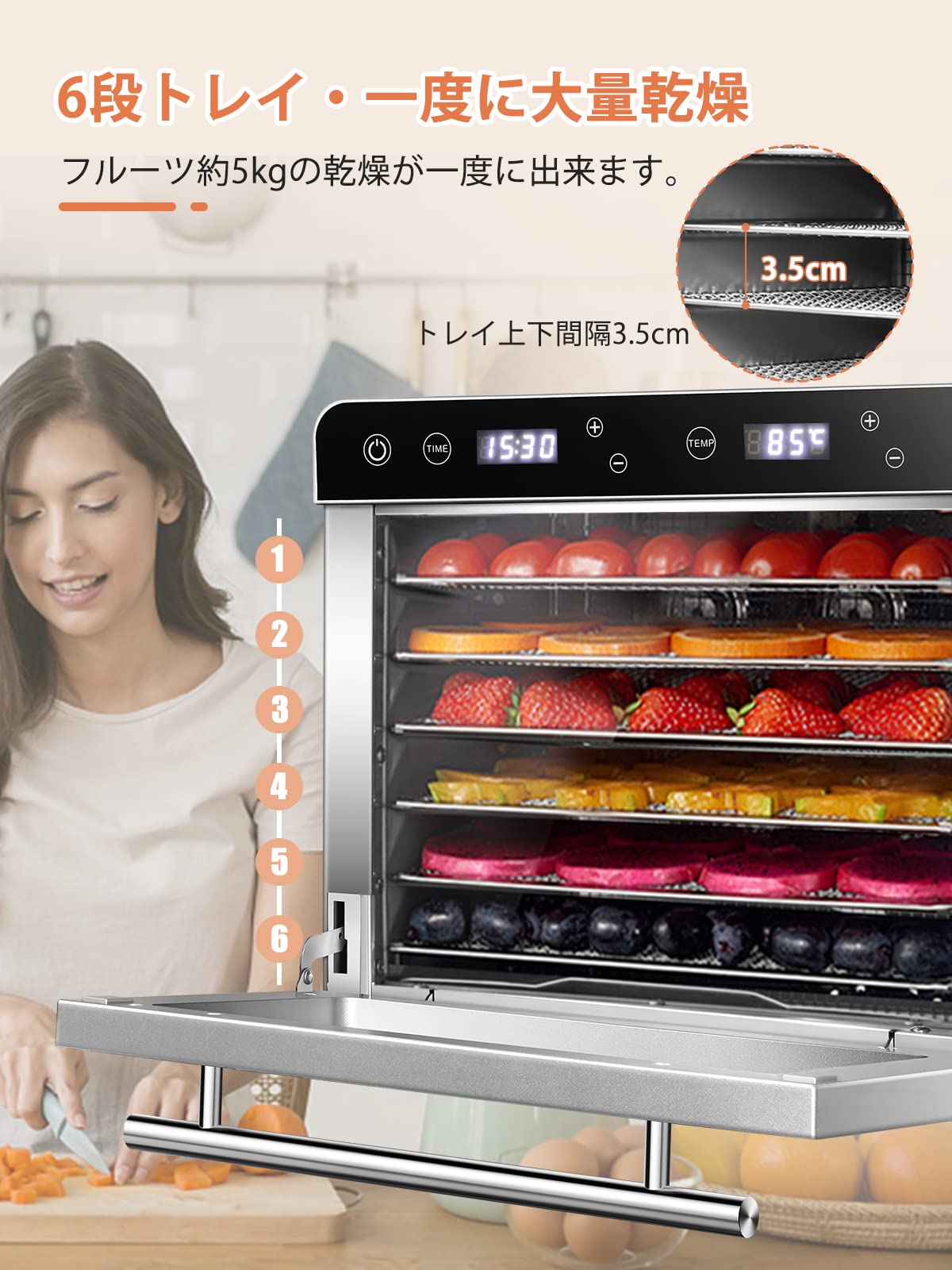 Food Dehydrator 食品乾燥機 LT-85 業務用 フードドライヤー