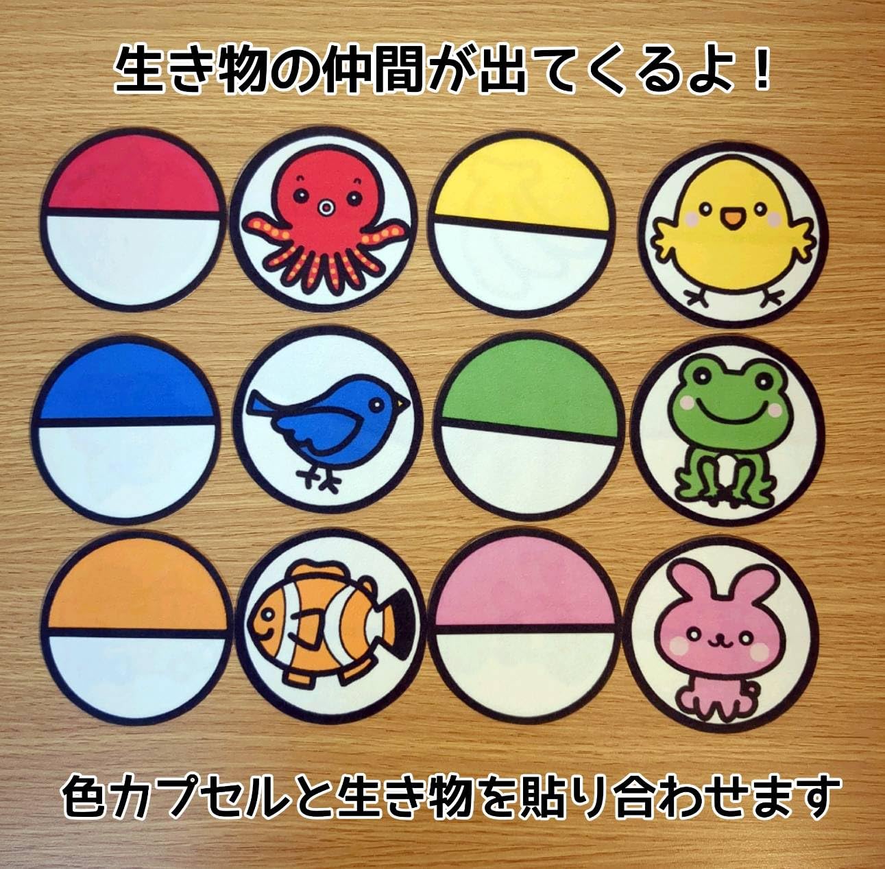 Amazon | フルセットガチャガチャあそび 18カプセル パネルシアター （普通サイズ未カット）【あおりんご保育教材】 | カプセル玩具 |  おもちゃ