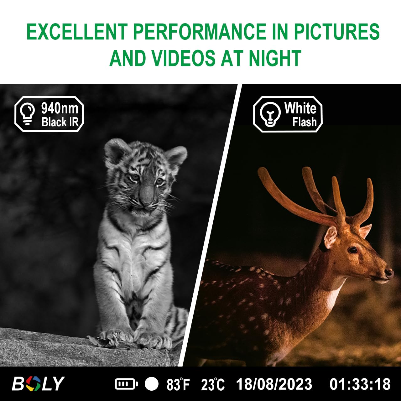 BolyGuard Trailkamera,Wildkamera 56MP Jagdkamera 4K Dual Objektiv Weiß LED mit 940nm unsichtbarem Blitz 100 -Fuß -Erkennungsunterstützung wasserdicht Fotofalle für Revierüberwachung 512G BG662-HQ