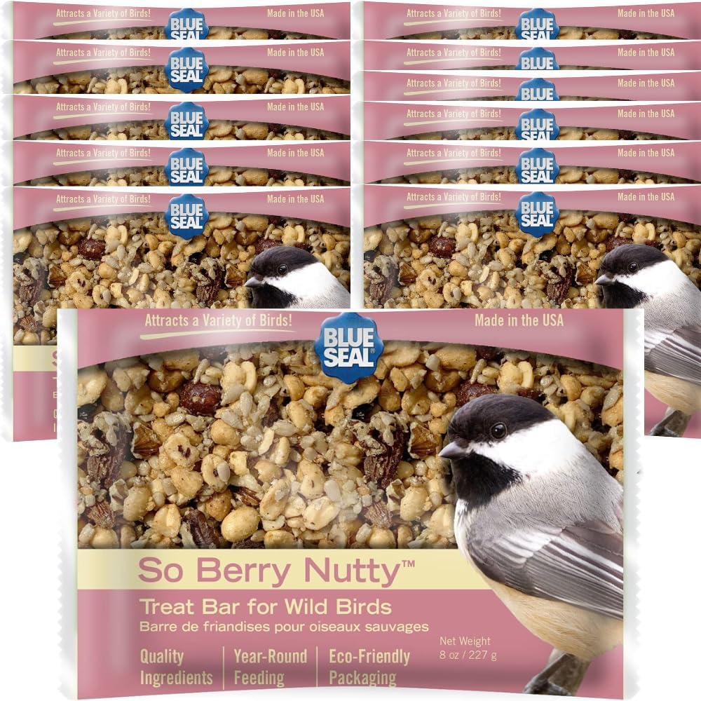 Blue Seal Mealworm Medley Suet Treat Bars for Wild Birds