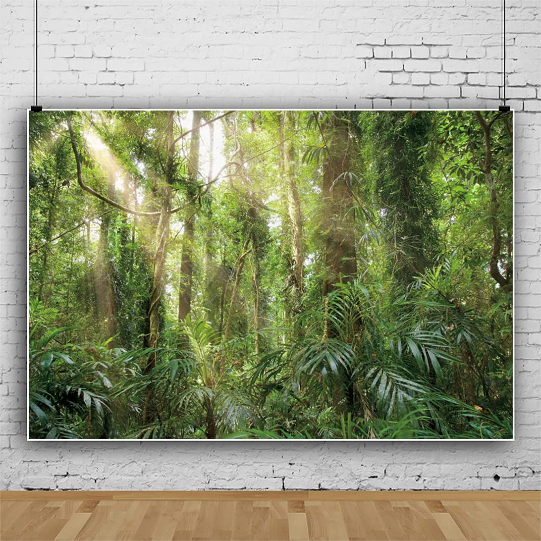 12x8ft Tranquilo Fondo de poliéster Forestal Natural Sunshine Evergreen Forest Jungle Spring Forest Landscape Background Campamento temática Pancarta Accesorios de Estudio fotográfico