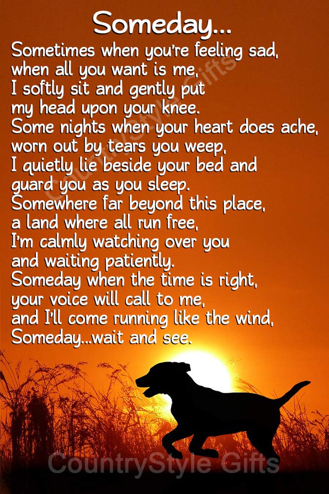 CountryStyle Gifts Pet Dog Bereavement Sympathy Gift Memorial Magnetic Card - Someday