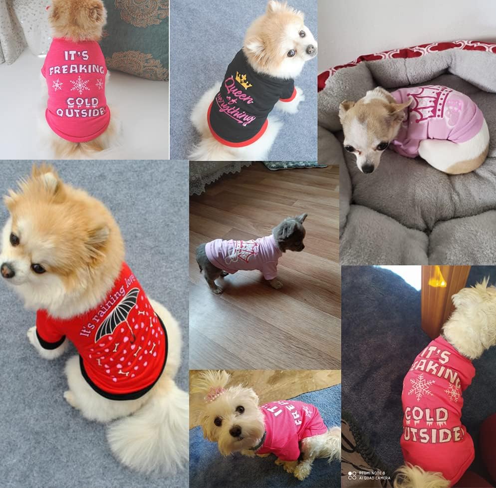 Miniatura 3 de Ropa para cachorros, camisa para perros pequeños y niña, ropa de verano para chihuahua, Yorkie, niña, XS, sudadera para mascotas, camiseta para