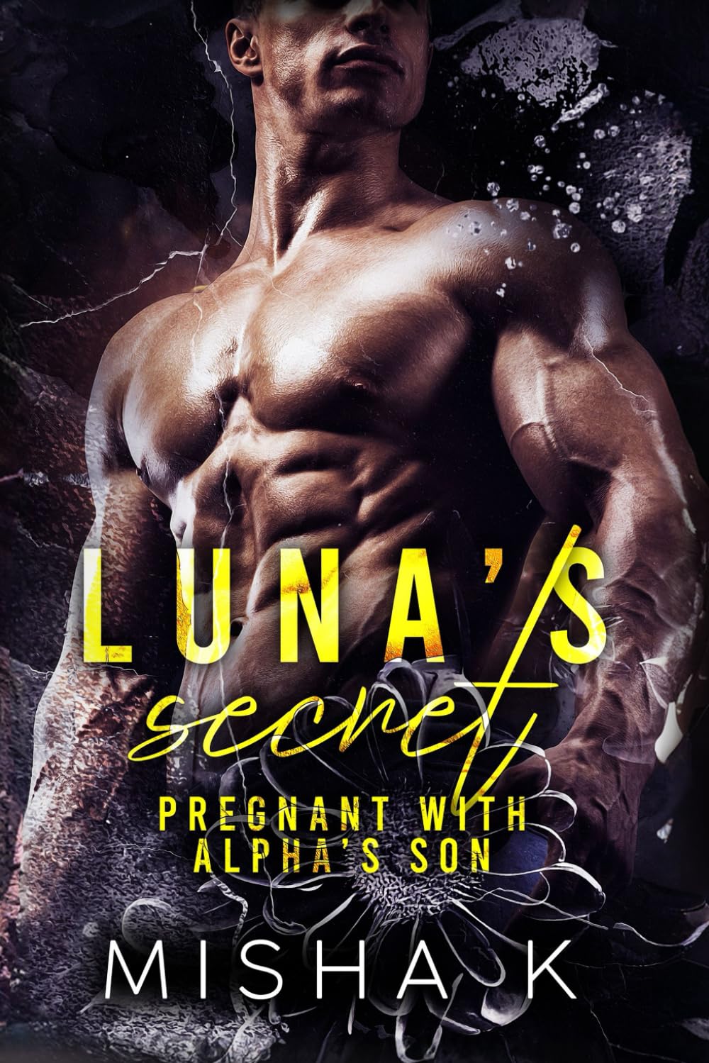 Luna's Secret: Pregnant With Alpha's Son: 1