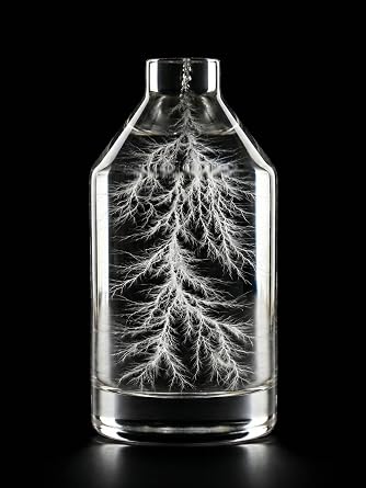 Captured Lightning in a Bottle - 10MeV High-Energy Physics Art Sculpture - One-of-a-Kind 3D Lichtenberg Figure - Authentic Frozen Electrical Discharge - Unique Science Gift for Geeks