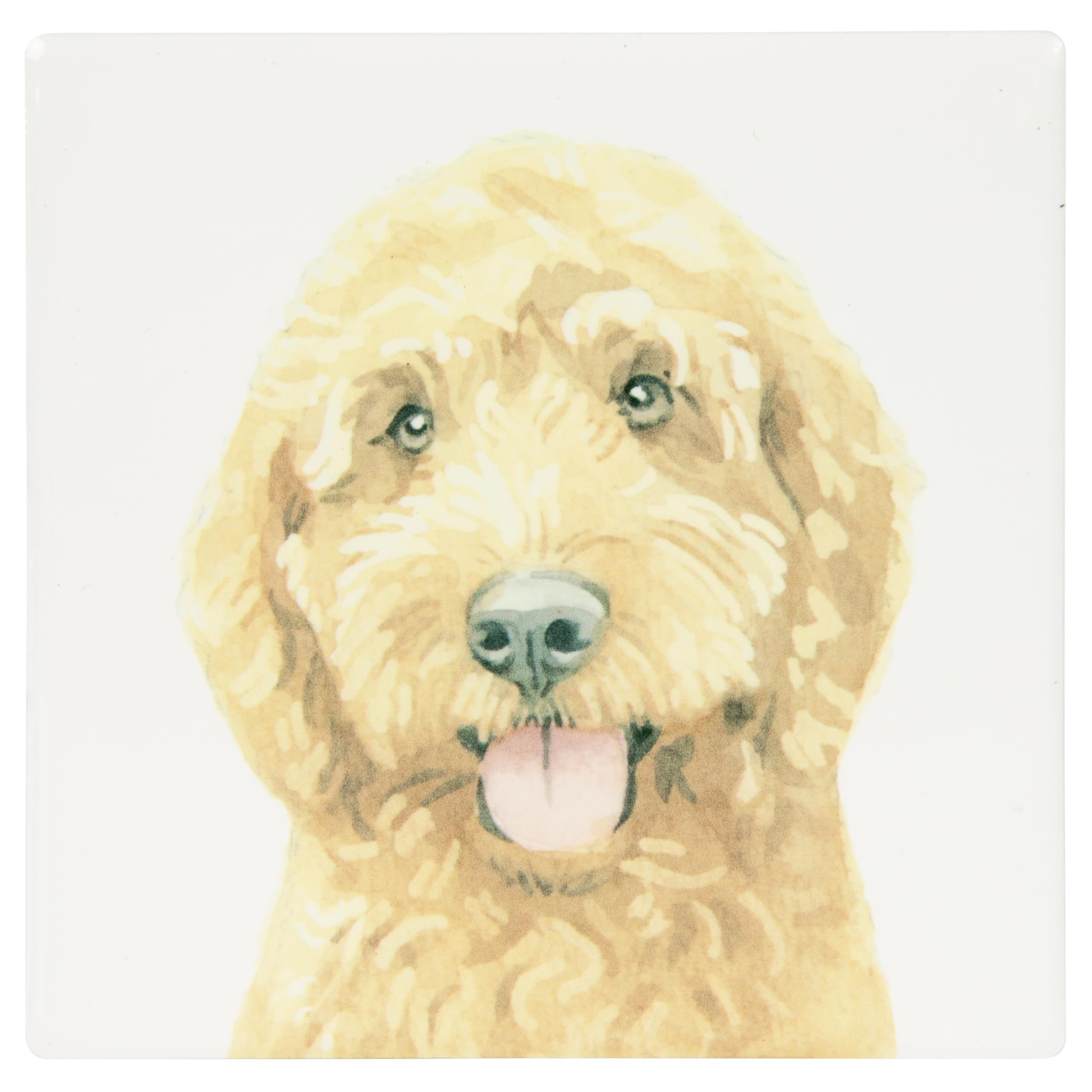Lesser & Pavey Cockapoo Coaster Robert James Hull For Home & Office | Stylish Coasters For Kitchen & Dining | Durable Drinks Coasters For Tabletops | Decorative Home Accessories for Drinks & Tables