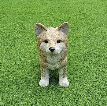 御影石の柴犬 71NTcudlK8L._AC_UF350,