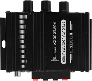 Power Amplifier, Mini Portable 12V Aluminum Amplifier Lightweight and Clear Sound Quality for Car (AK270)