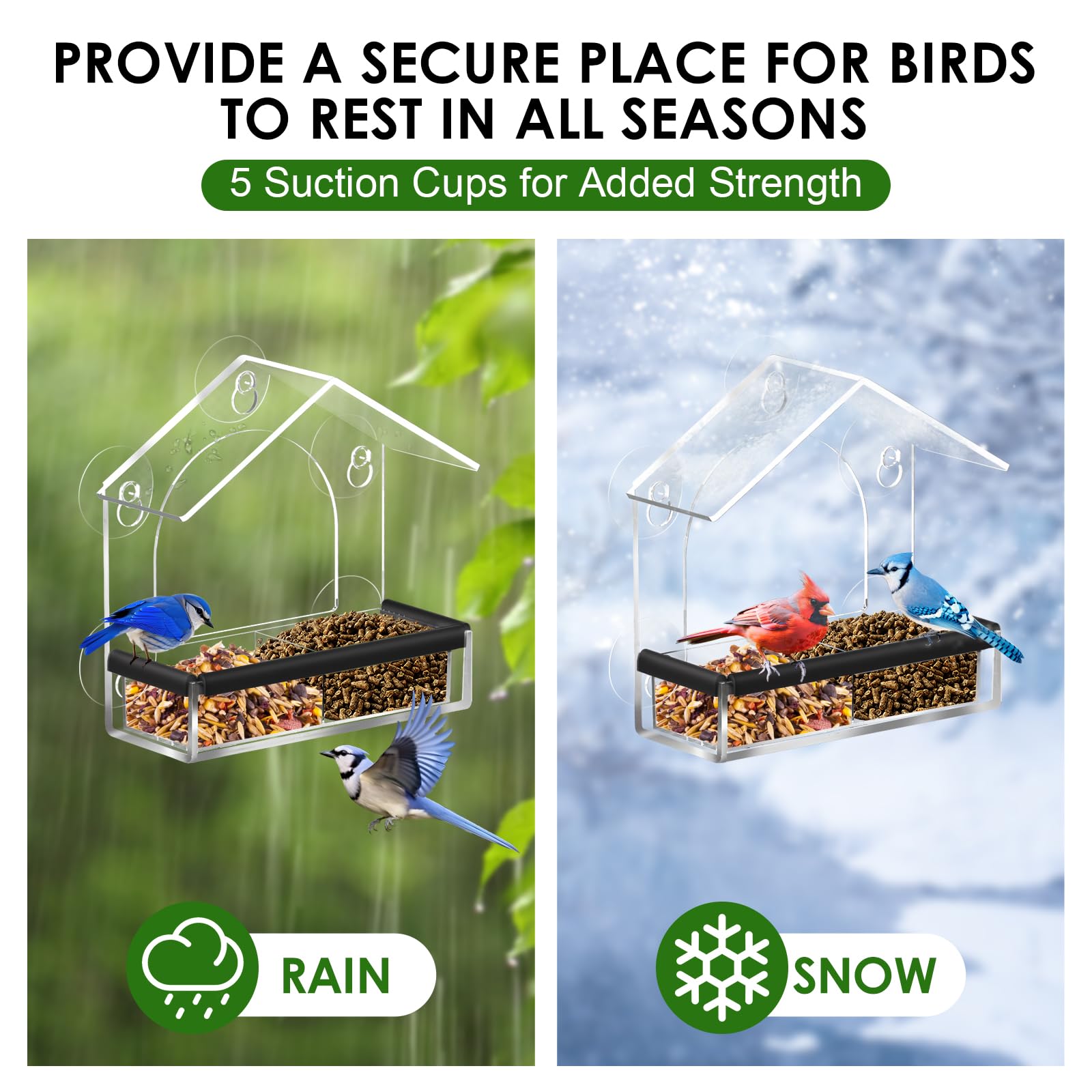 LIANGPIN Clear Window Bird Feeder with 5 Strong Suction Cups - Image 2