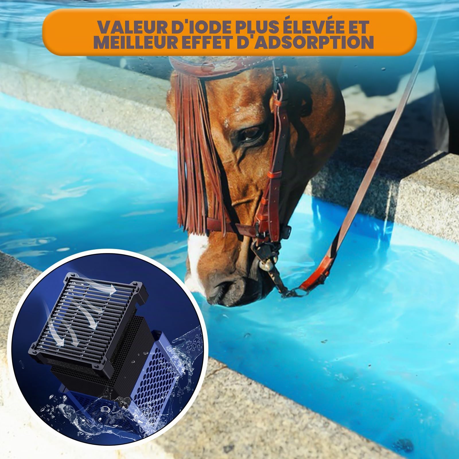 Clever Cube Lot de 2 filtres à charbon actif pour chevaux, aquariums et étangs