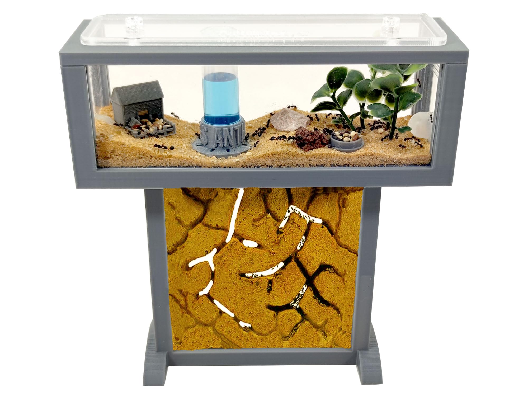 Kit per formiche T- Mini di sabbia naturale, 15 x 5 x 16 cm, formiche gratis incluse┃da 20-30 formiche
