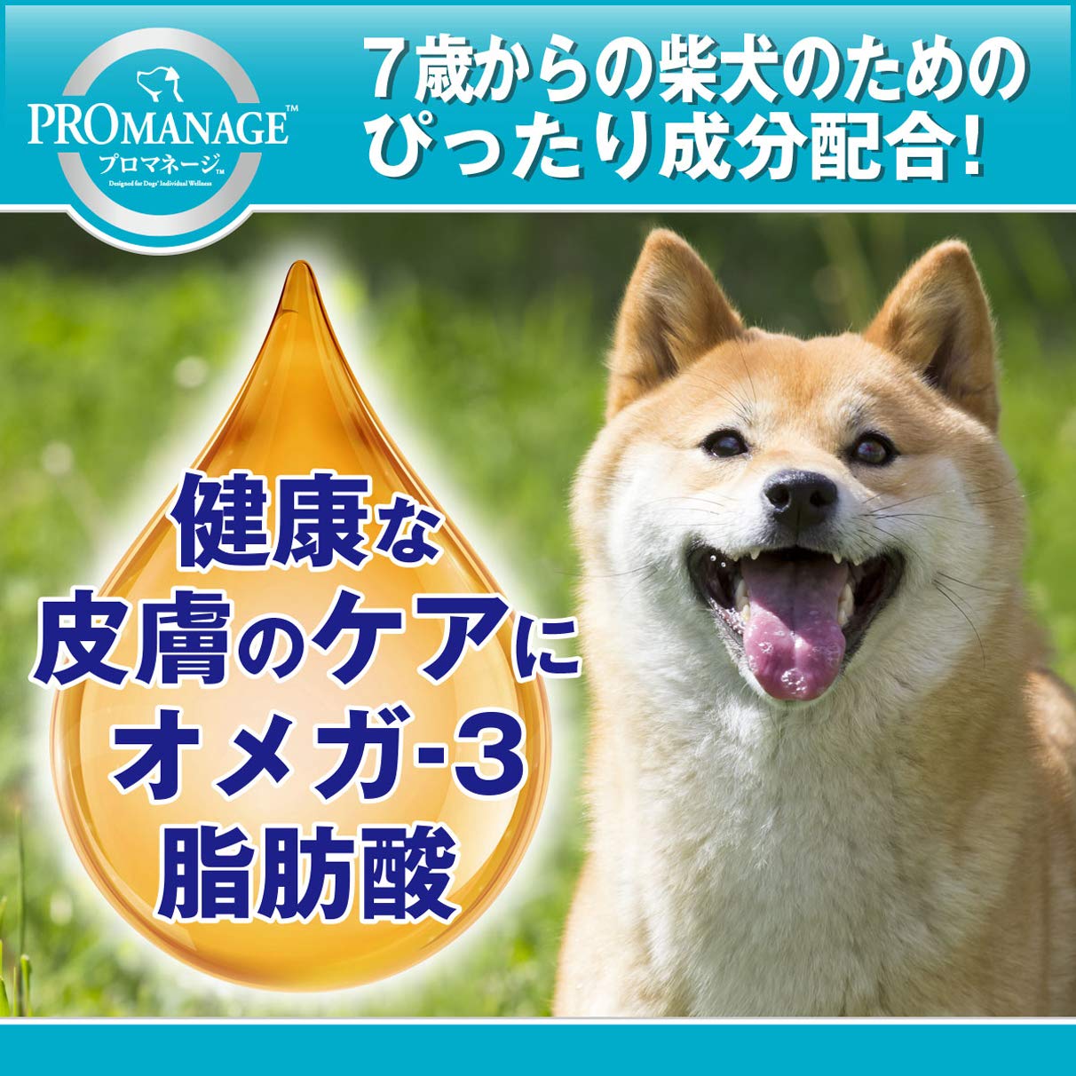 Amazon.co.jp: プロマネージ ドッグフード 7歳からの柴犬専用 シニア犬