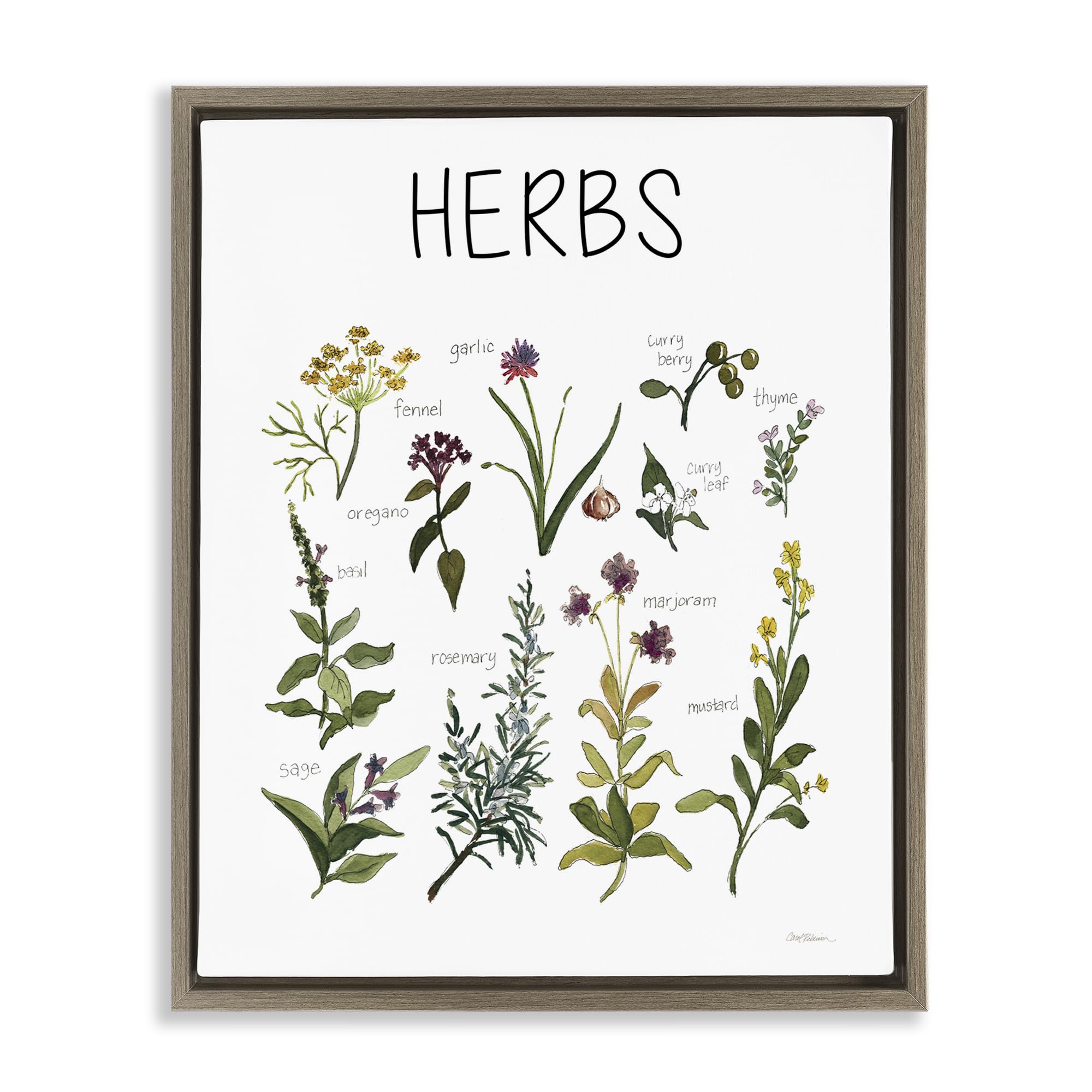 Stupell Industries Herbs Identification Chart 'Herbs Identification Chart', Floating Frame Canvas Art, Brown, 25 X 31 Inches, Easy To Hang And Sturdy, Made In Usa, By Carol Robinson