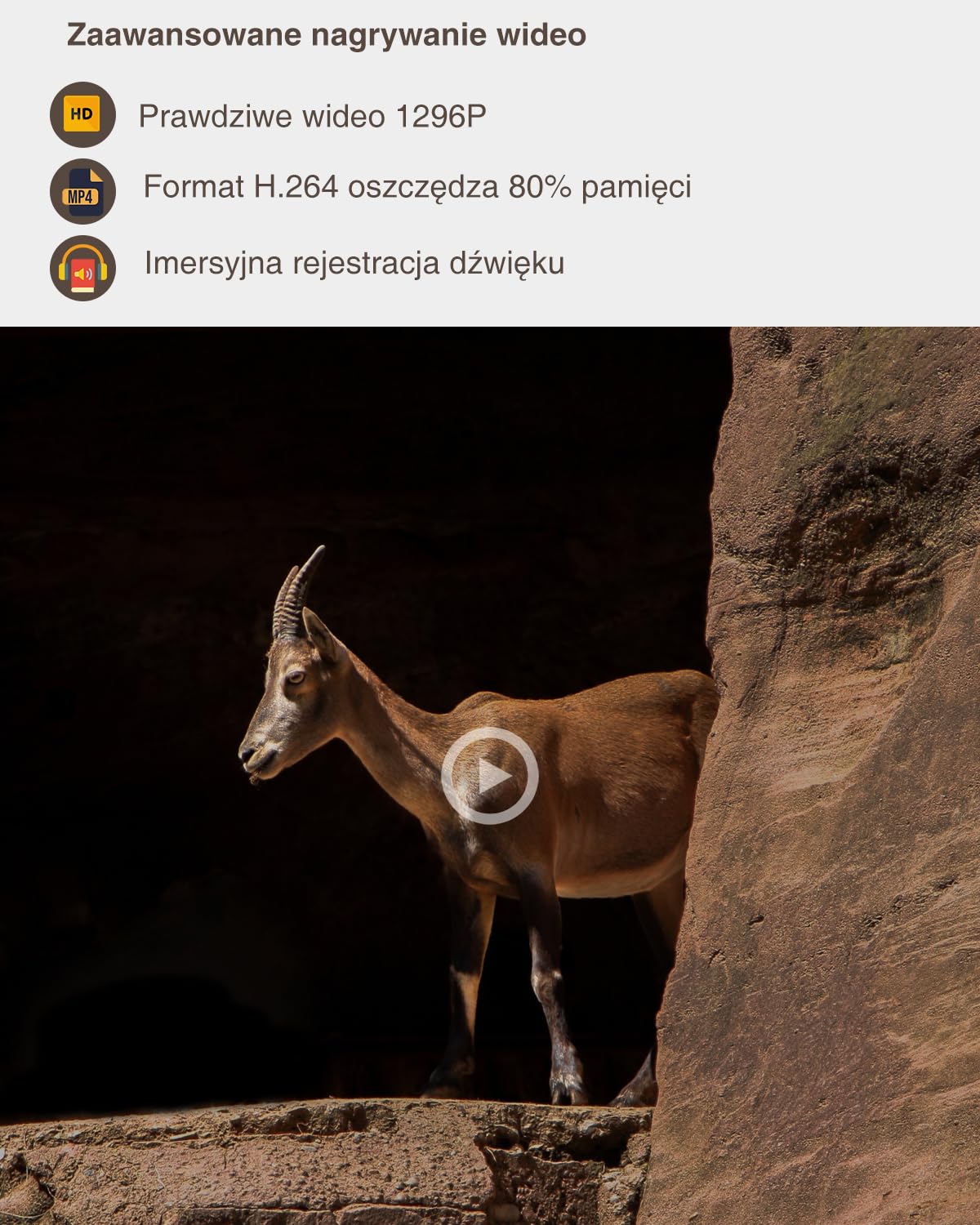 GardePro A5 kamera do obserwacji dzikich zwierząt 48 MP 1296p H.264, kamera do obserwacji dzikich zwierząt z czujnikiem ruchu, widoczność w nocy do 30 m, No-Glow, kamera na podczerwień, do dzikich