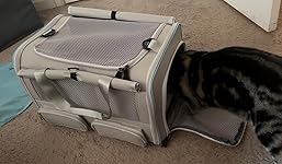 Review Image by :) :)