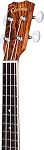 Cordoba 15CB Bocote Concert 4-String Ukulele