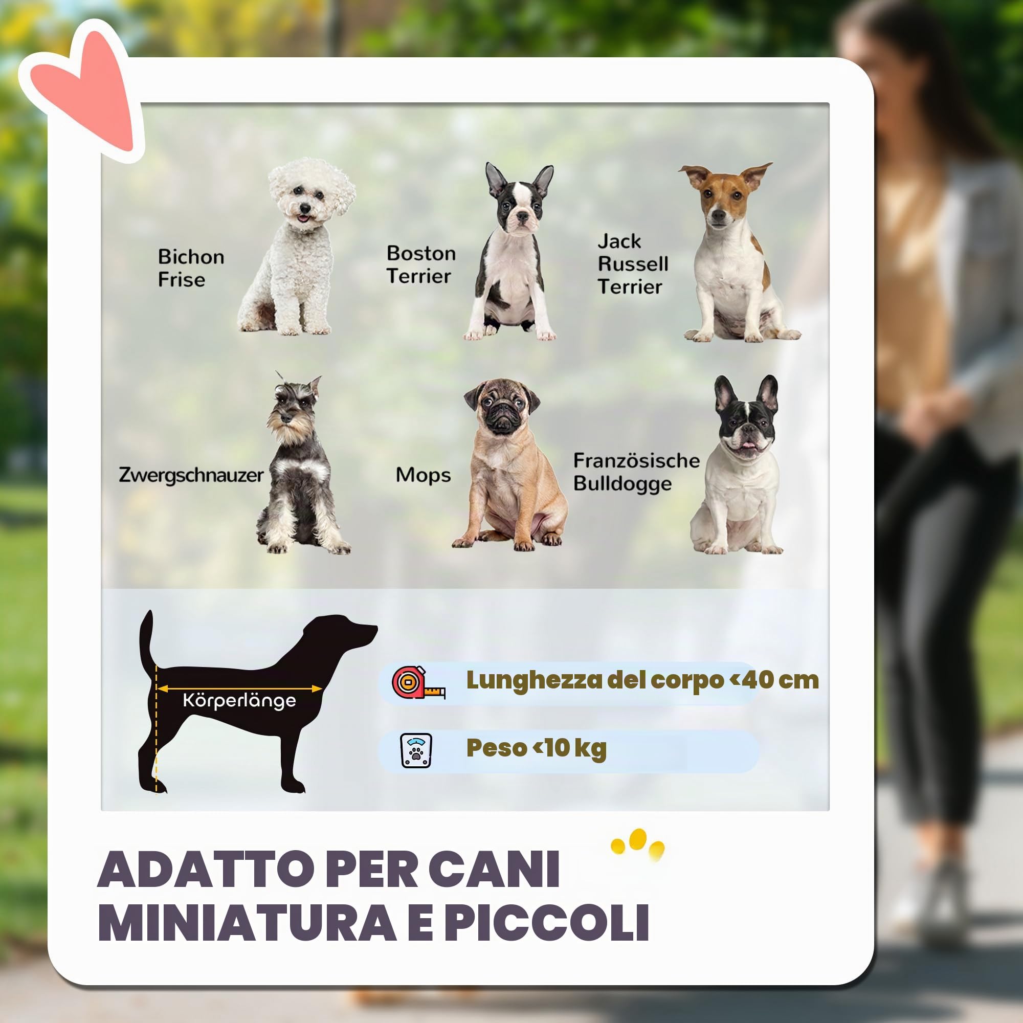 PawHut Passegg. cane, trasport. rimov., imbott. morb., cani picc., Grig. | Passeggino per cane, carrozzina per animali, guinzagli di sicurezza