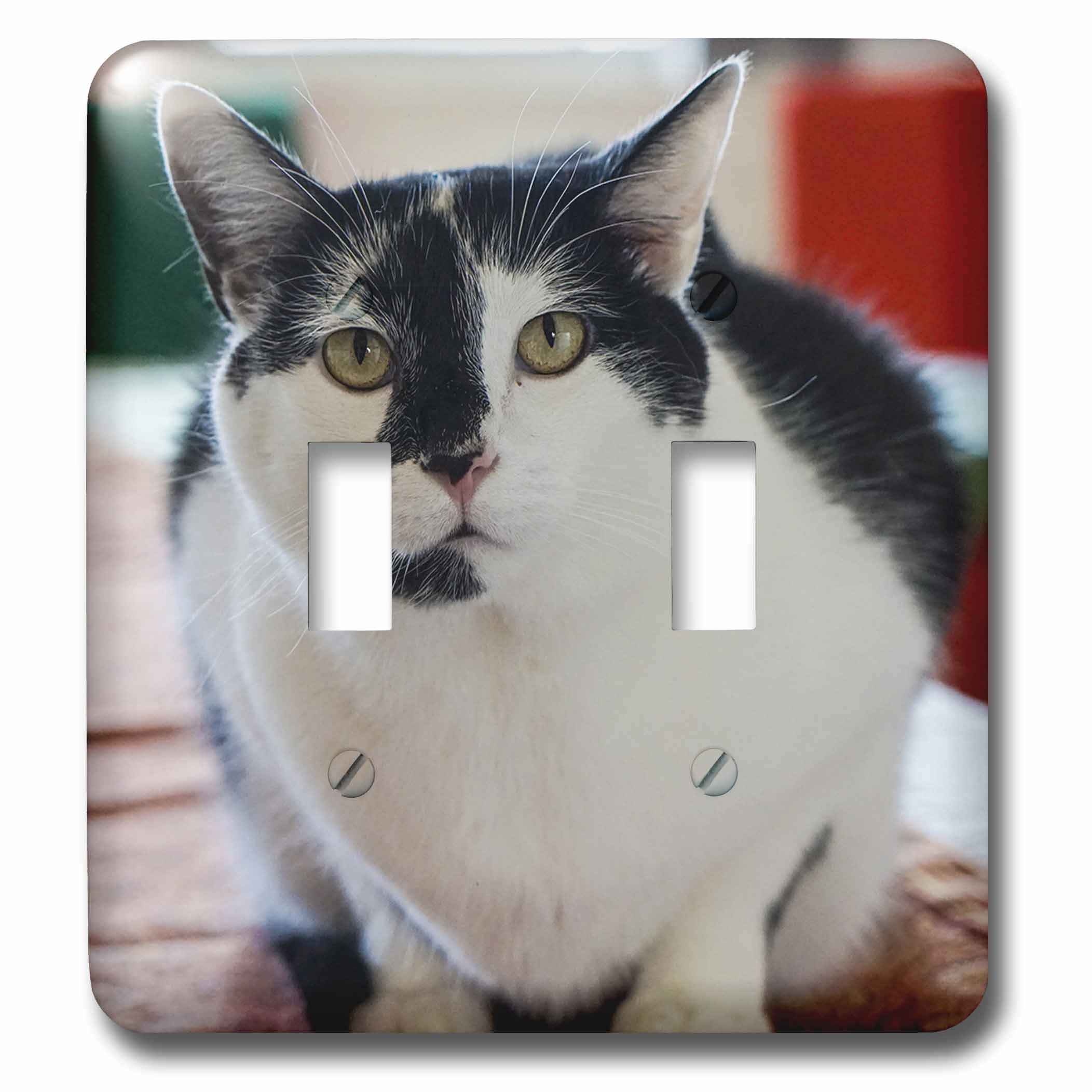 Interrupteur à bascule chat noir et blanc pour déco salon multicolore