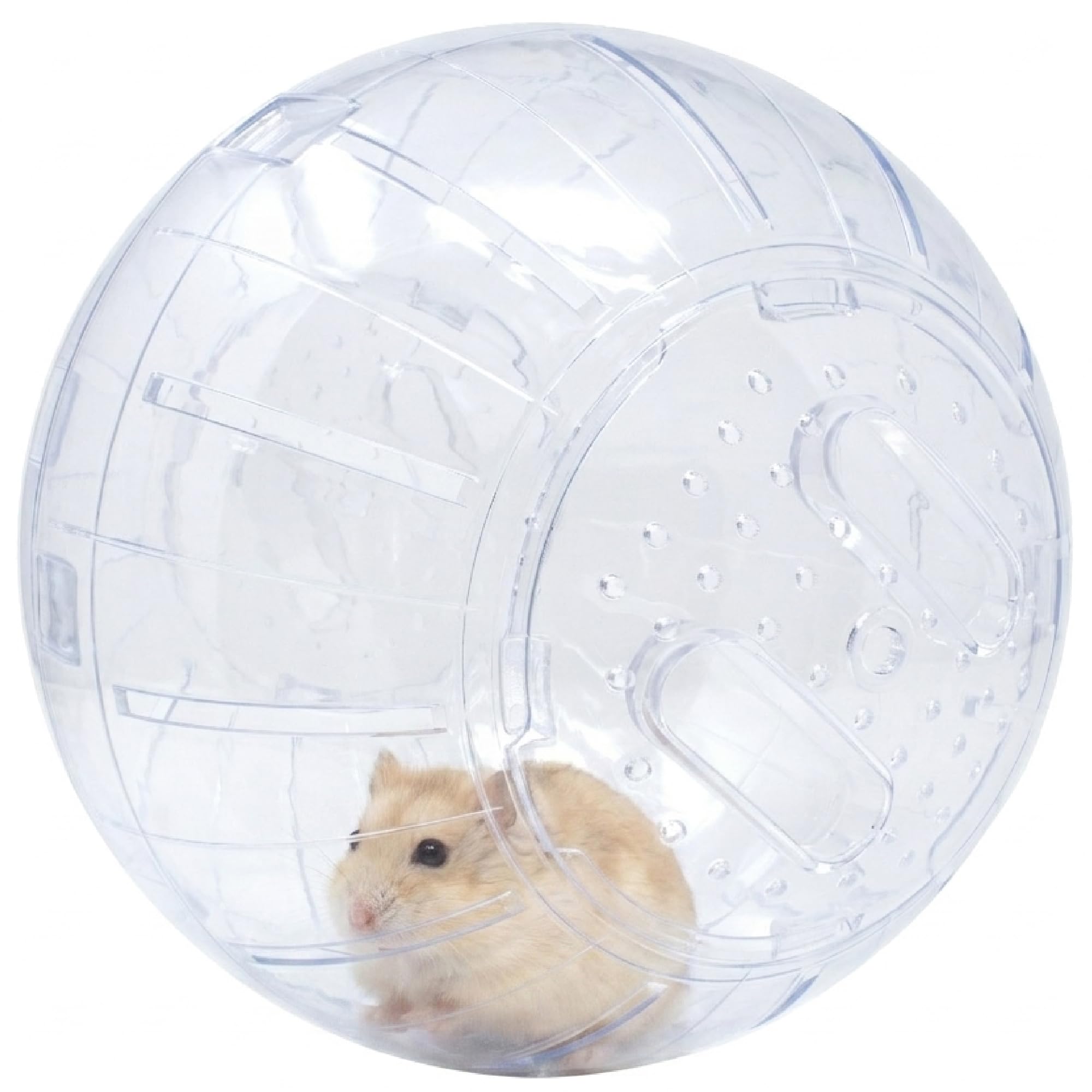ICA GD10025 Boule d'exercice pour rongeurs 25 cm Couleurs Assortis
