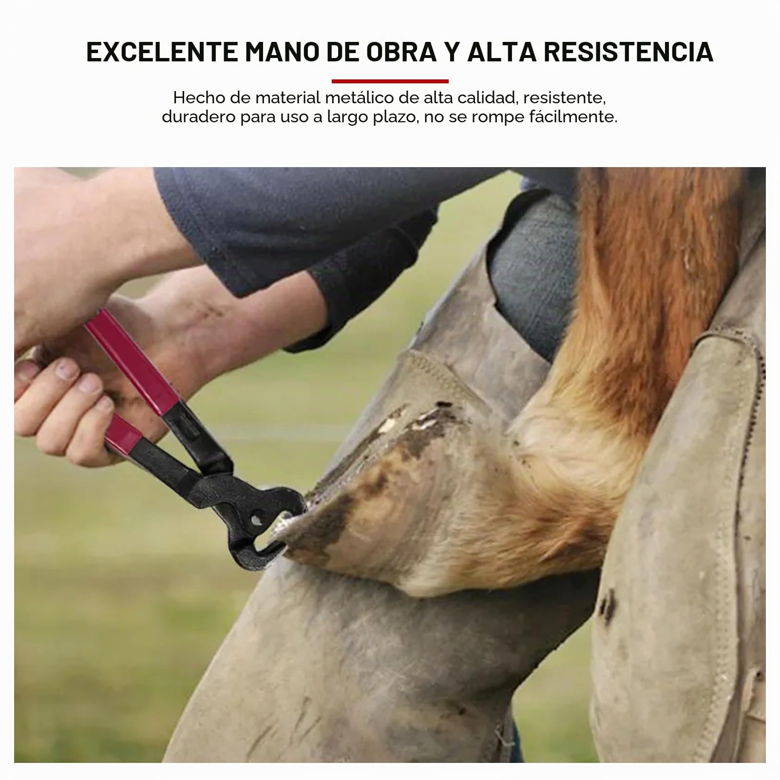 Herramienta de herrador de Caballos, 9 Piezas de Acero, Hierro, Herradura, Cortador de alicates, escofina para pezuñas de Caballo con Mango ergonómico, Martillo, Herramienta para pezuñas