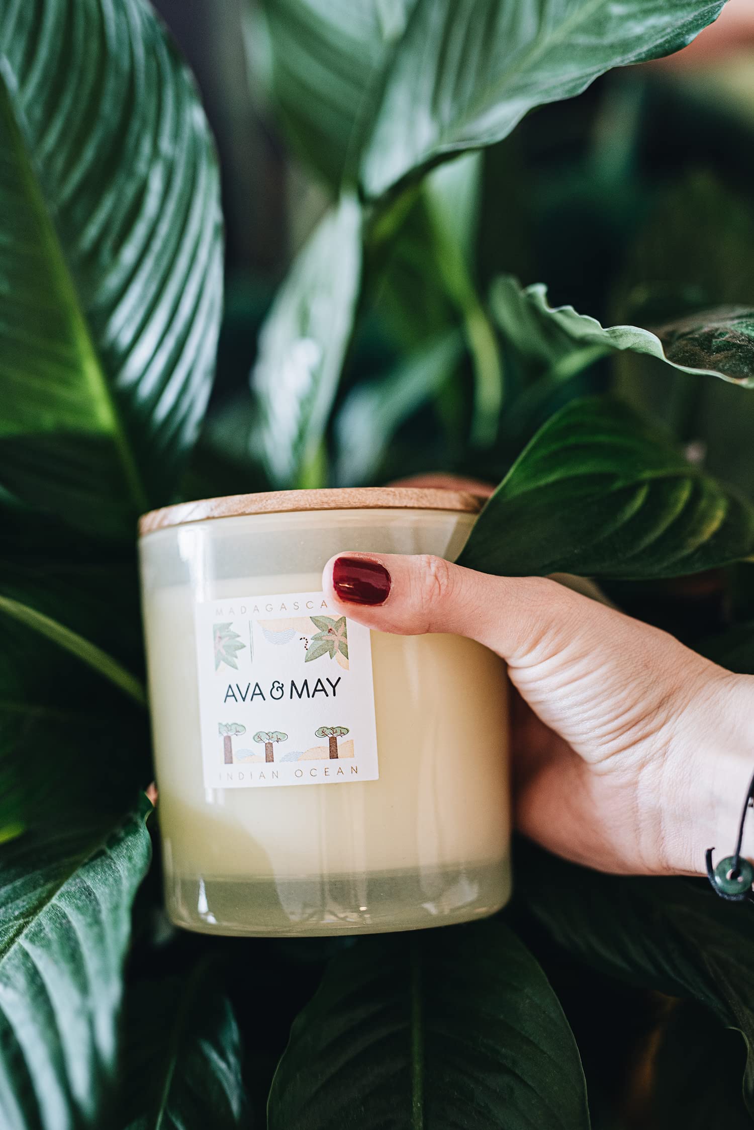 AVA & MAY Bahamas Home Fragrance Set - Set vegano con bastoncini