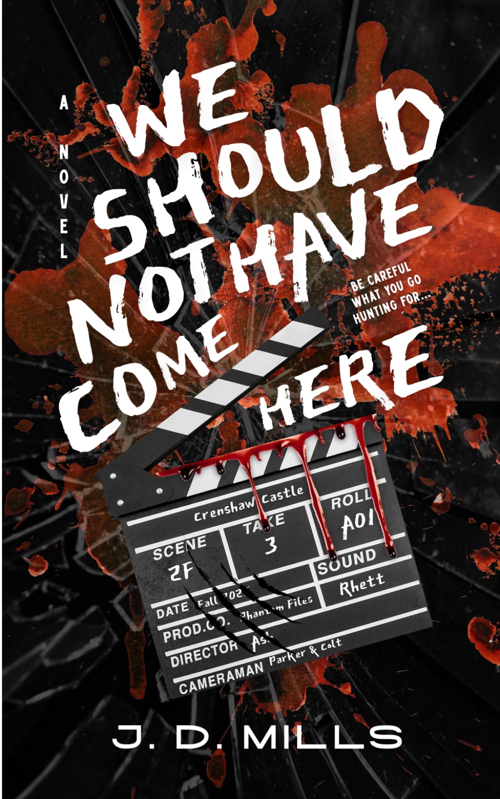 We Should Not Have Come Here