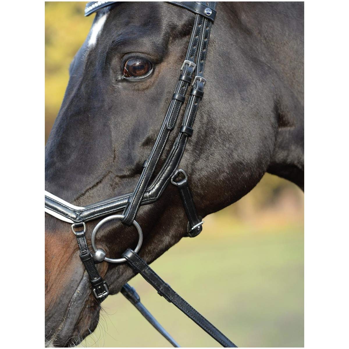 Busse William Hunter Equestrian Emotion - Brida para caballo (cristal), color negro y blanco