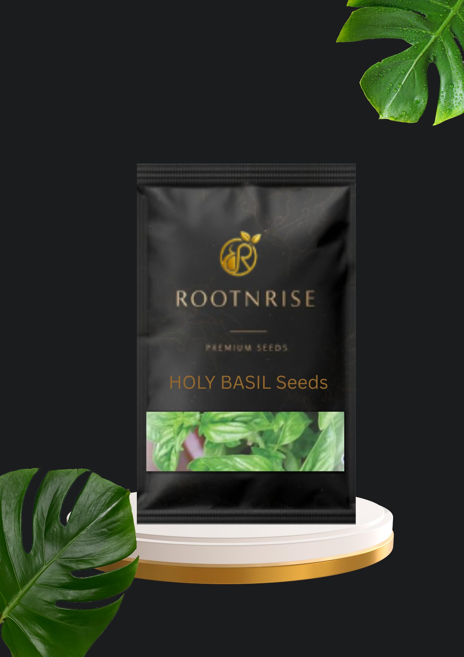 RootNrise Holy Basil Seeds, Premium Italian Basil Herb Seeds, Green, Pack of 1000-image-13