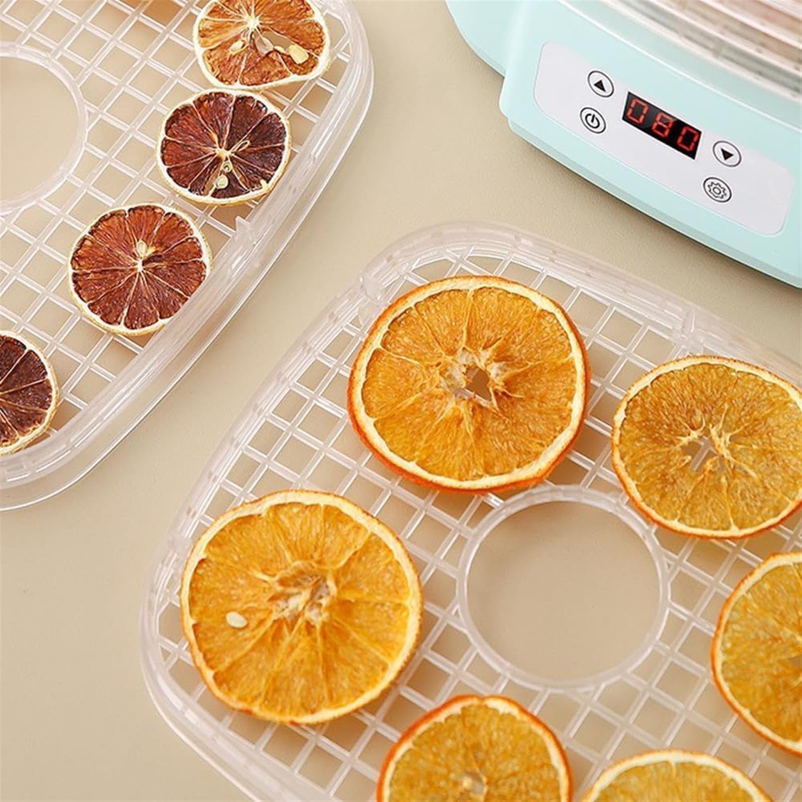 Essiccatore per Alimenti con Flusso d'Aria a 360° - Essiccazione Sana per Frutta, Verdura, Carne e Snack - Perfetto per la Preparazione di Carne secca Fatta in casa, Frutta secca e Caramelle