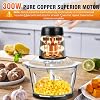 300W Fruit & Vegetable Chopper 2L Food Processor Small Meat Grinder Electric Dicer with 2 Speeds, 4 Bi-Level Blades,for Meat,Fruits,Smoothie, Vegetables,Onion,Garlic and Nuts