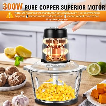 300W Fruit & Vegetable Chopper 2L Food Processor Small Meat Grinder Electric Dicer with 2 Speeds, 4 Bi-Level Blades,for Meat,Fruits,Smoothie, Vegetables,Onion,Garlic and Nuts