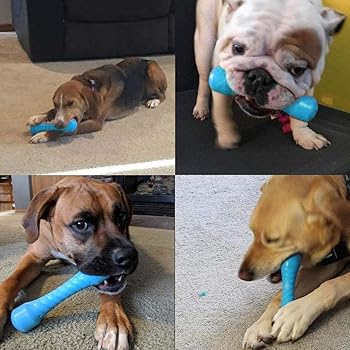 juguetes para bulldog ingles