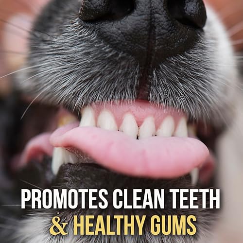 Miniatura 5 de Bullysticks Organic Palitos trenzados de 12 pulgadas para perros, todos los huesos trenzados naturales son de rango libre, palitos de matón