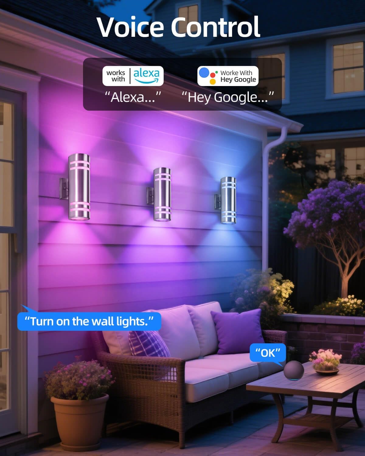Smart Stainless Steel Outdoor Wall Light 2 Pack, WiFi RGB Up and Down Sconce with Dusk to Dawn Sensor, Color Changing Exterior Lighting Fixtures, Compatible with Alexa & Google, Remote Included