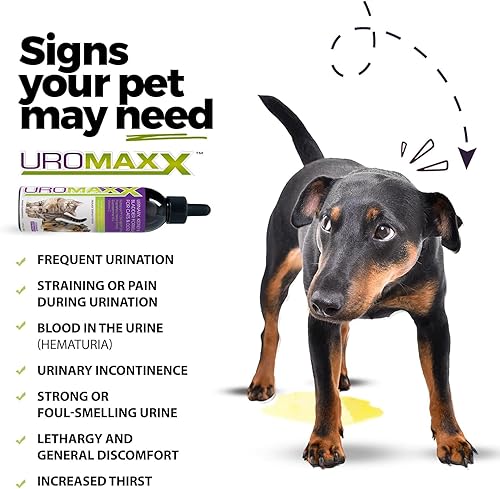 Miniatura 9 de UroMAXX Fórmula de tracto urinario riñón y vejiga para gatos y perros botella de 6 onzas