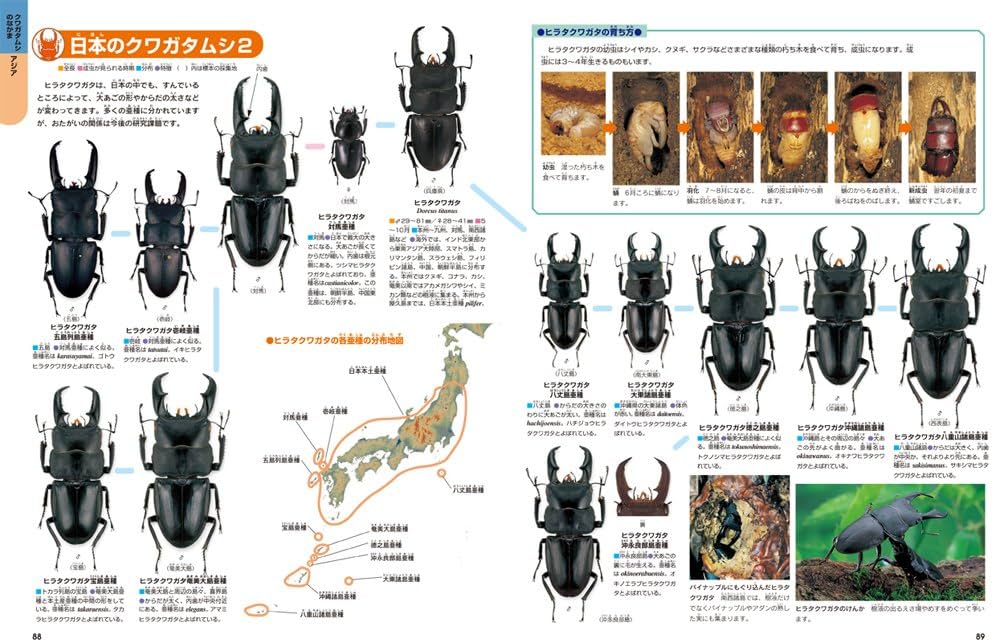 学研 図鑑 セット 昆虫 飼育 学研の図鑑 ニューワイド まとめ売り 学研 図鑑 セット 昆虫 飼育 学研の図鑑 ニューワイド まとめ