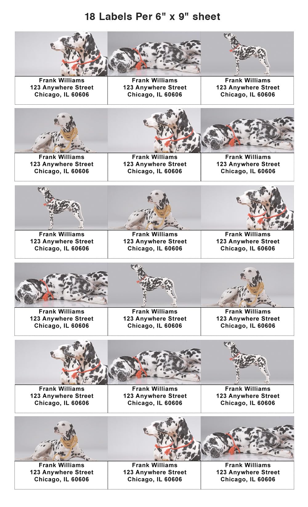 Dalmatian Print Return Address Labels - 240 Self-Adhesive Labels, 2 X 5/8 Inch, Personalized Flat Sheets