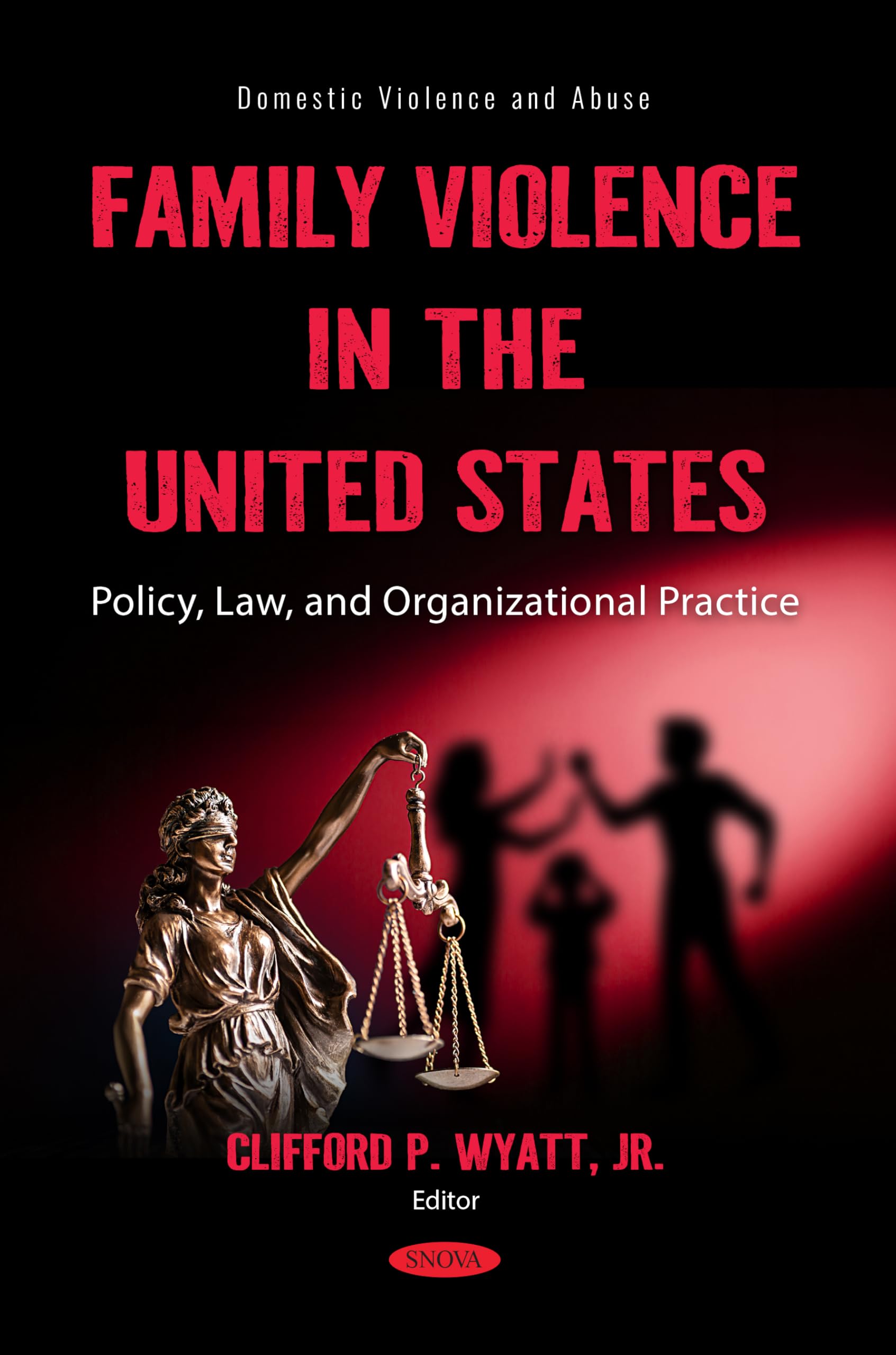 Family Violence in the United States: Policy, Law, and Organizational Practice (Domestic Violence and Abuse Series)