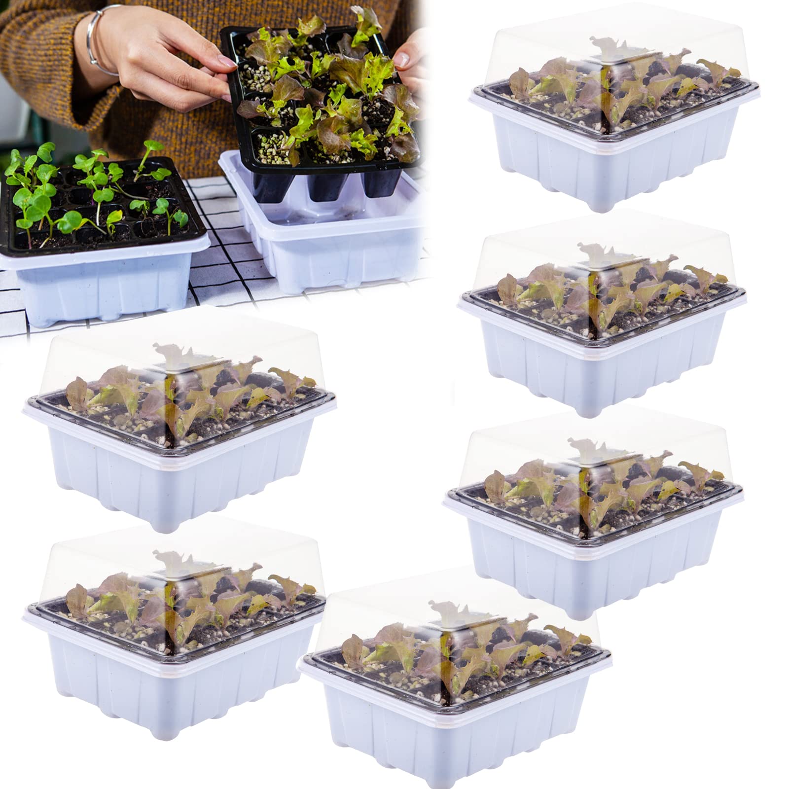 6 Pièces Bac à semis, Mini Serre pour Plantes Intérieure Plateau de Germination à 12 cellules Pépinière Boîte Propagateur avec Couvercle pour Jardin Croissance Semence