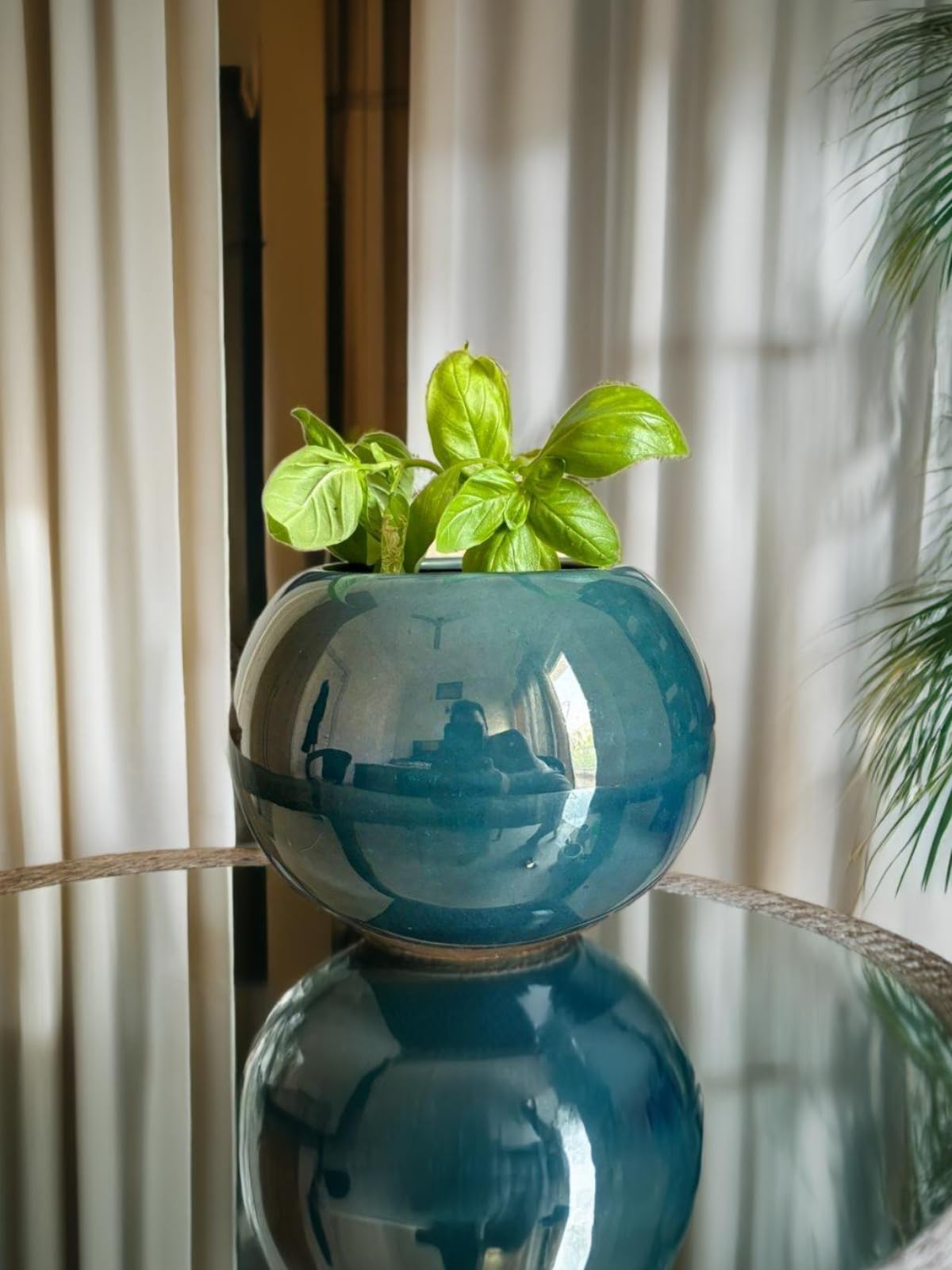 TrulyFresh Luminous Haven Artisan Ceramic Pot - Ideal for Home Interiors and Garden Accents (B0D83LQBZS) Amazon Price History, Amazon Price Tracker