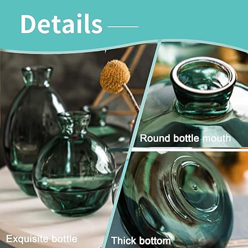 Miniatura 9 de Small Vases for Centerpieces Glass Esmiome- Amber 3pcsSet Bud Vases, Short Minimalist Vase Clear Modern Flower Vase Mini Tiny Vases Cute Handmade
