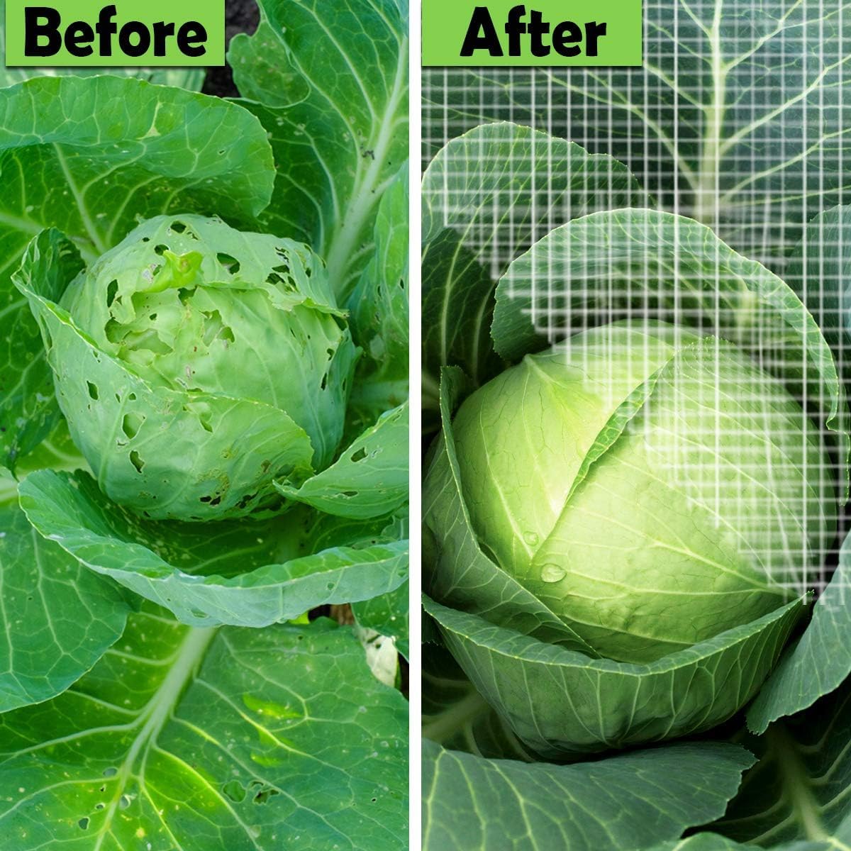 Pest Barrier Netting Bugs Out Insect Barrier Net Vegetable Fruit Tree Protection Net