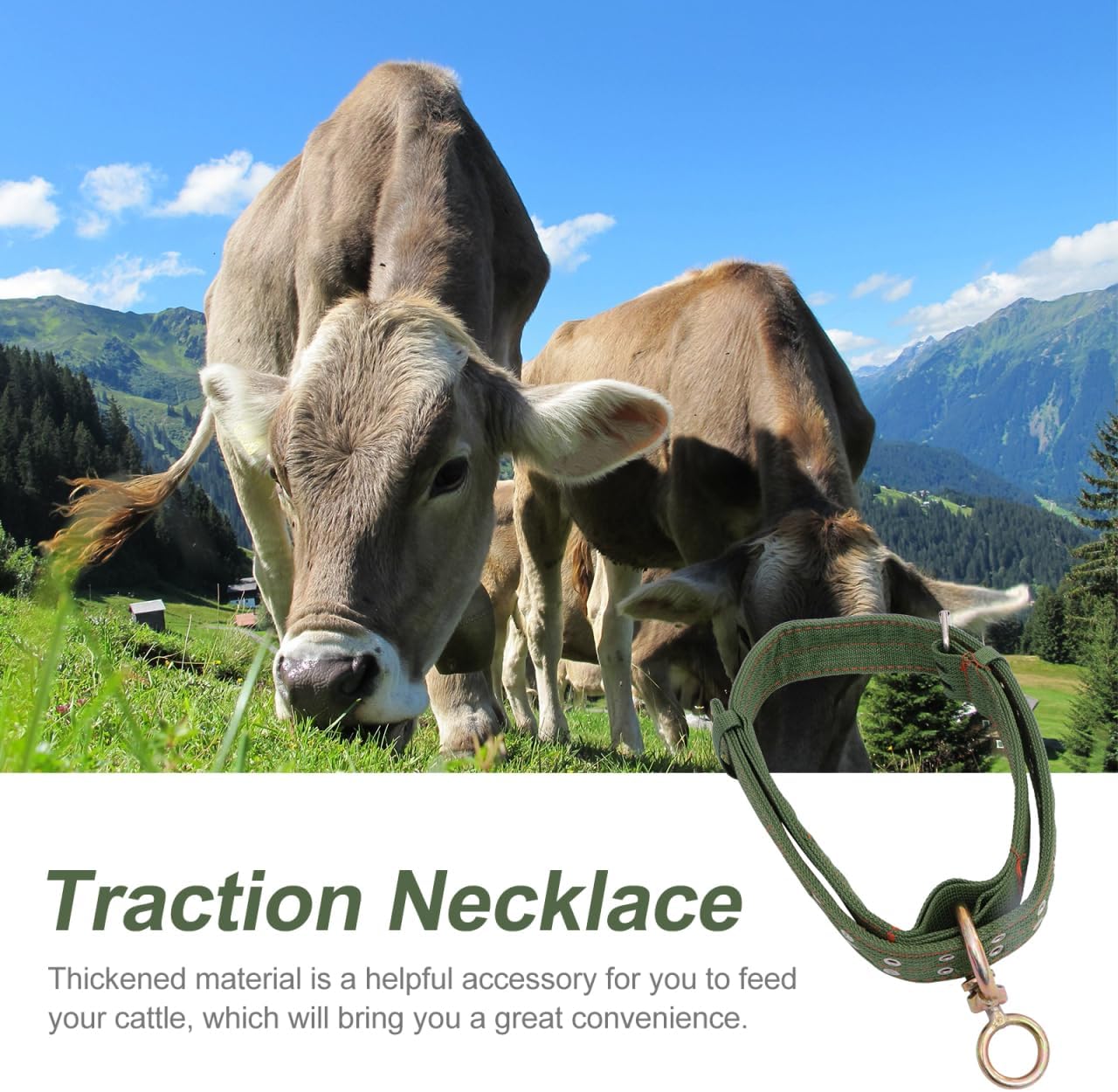 DOITOOL Adjustable Canvas Cow Collar Calf Neck Strap with Buckle 3 Pack Livestock Collar for Farm Animals Sheep Horse