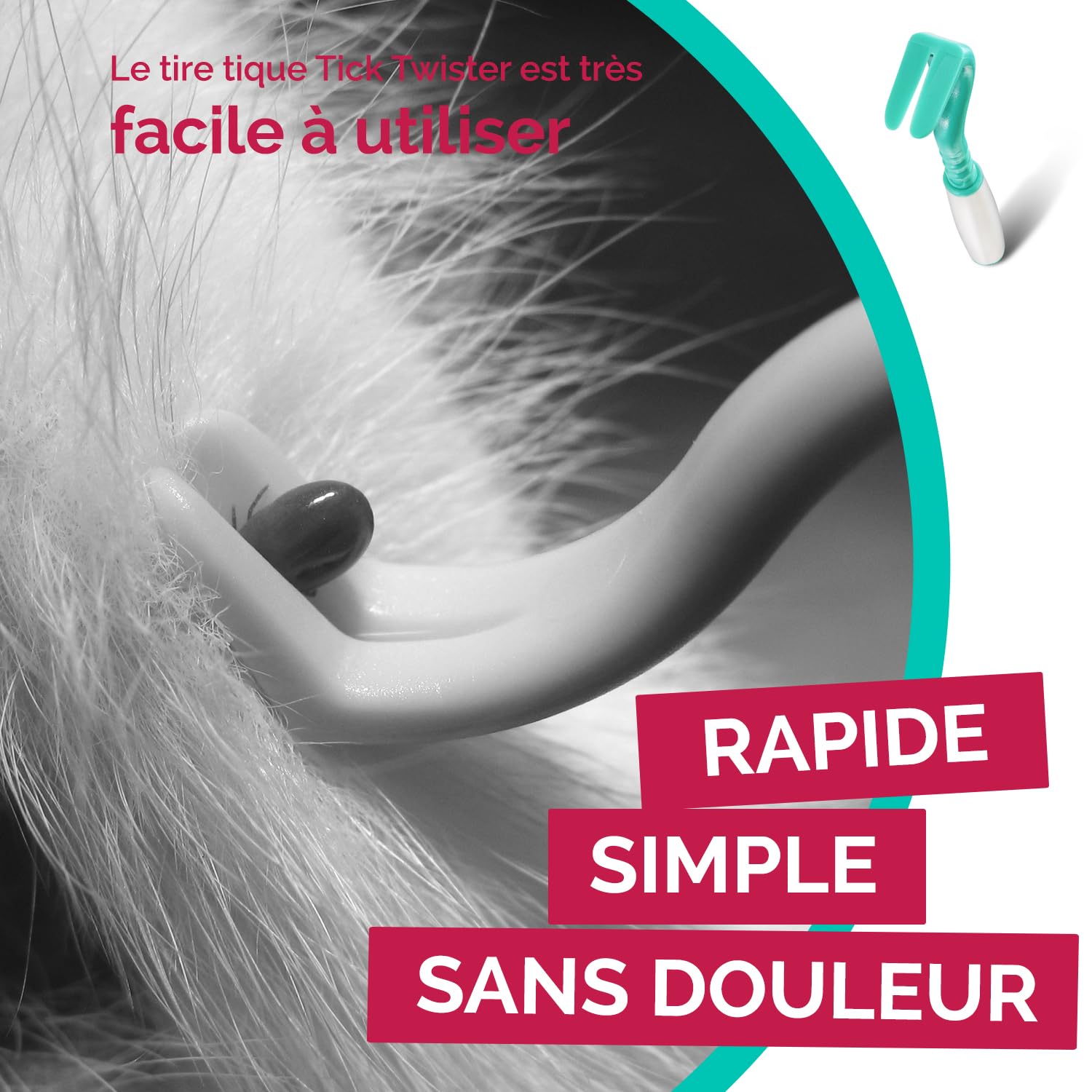 Tire Tique pour Chien, Chat et Humain (Set de 3 Tailles - Vert) - Retrait Facile, Rapide et sans Douleur – Pince à Tique avec Boîte de Rangement - Fabriqué en France (1 Set)