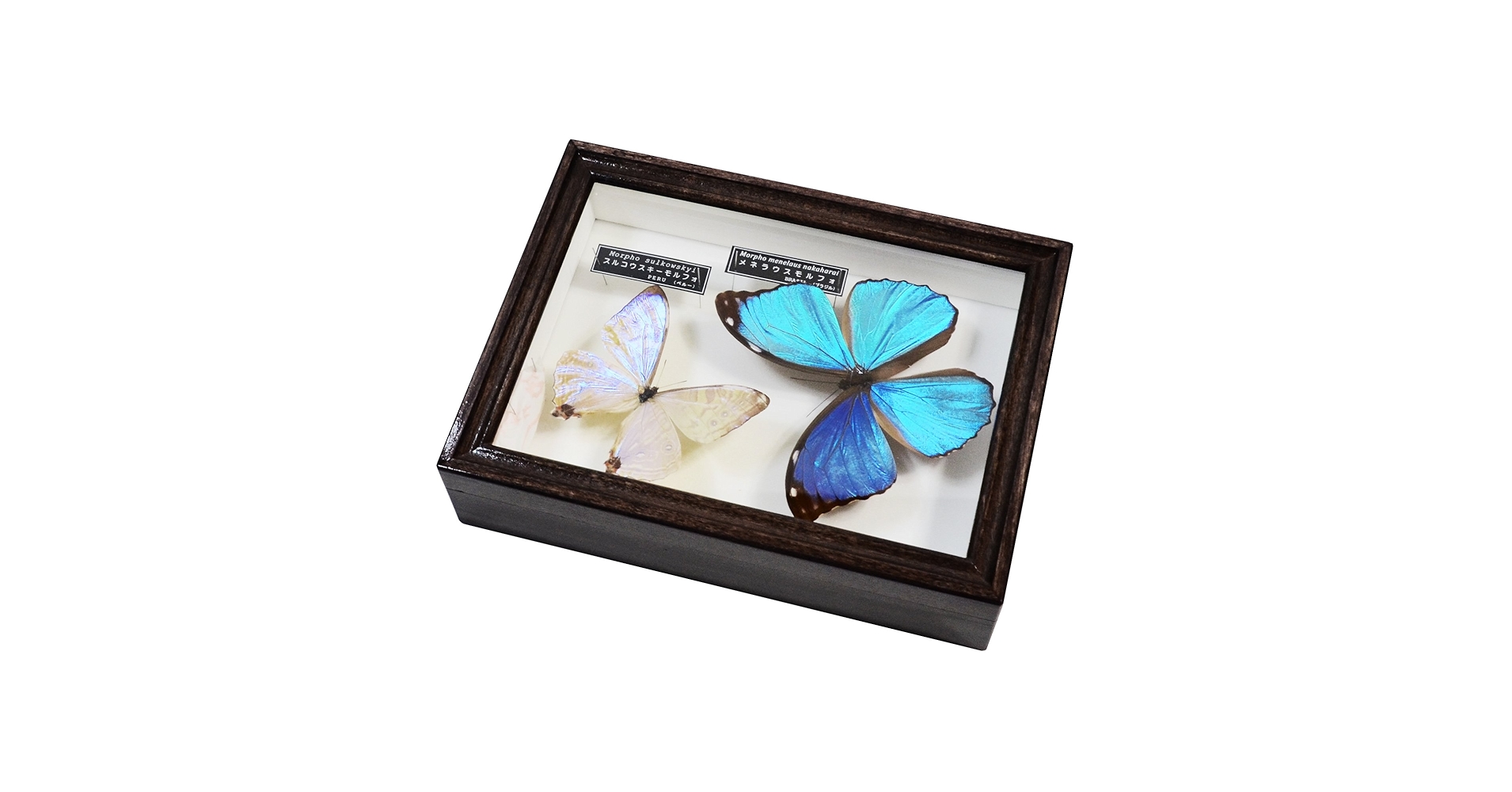 71NUaMPKvJL.jpg_BO30,255,255,