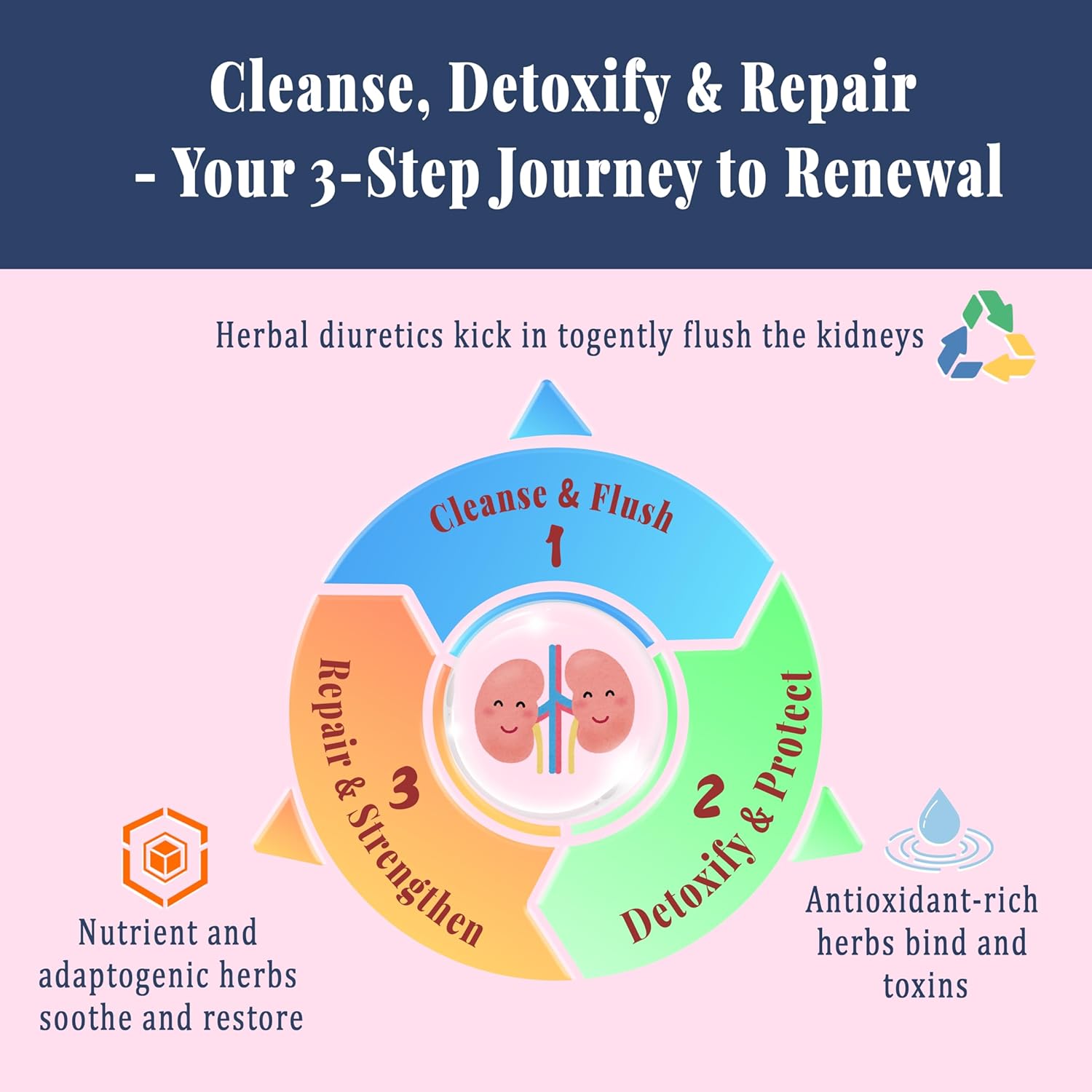 Kidney Cleanse Detox & Repair Liquid Drops – 14-in-1 Advanced Liver Kidney Support Herbal Supplement with Cranberry, Milk Thistle, Juniper – Urinary Tract Support – Mixed Berry Flavor, 60 mL - Image 4